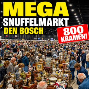 Snuffelmarkt Brabanthallen Den Bosch MEGA EDITIE: 3 hallen!