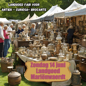 Landgoed markt voor Antiek-Curiosa-Brocante-Vintage