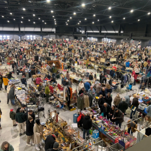 MEGA SNUFFELMARKT IN AUTOTRON ROSMALEN